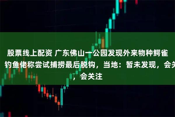 股票线上配资 广东佛山一公园发现外来物种鳄雀鳝，钓鱼佬称尝试捕捞最后脱钩，当地：暂未发现，会关注