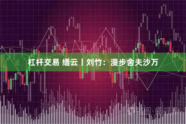 杠杆交易 缙云丨刘竹：漫步舍夫沙万